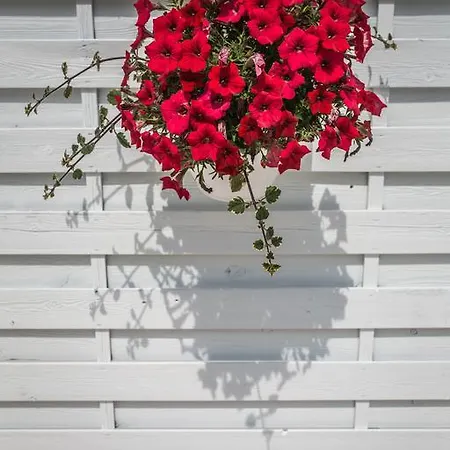 מלון Vittoria 4*